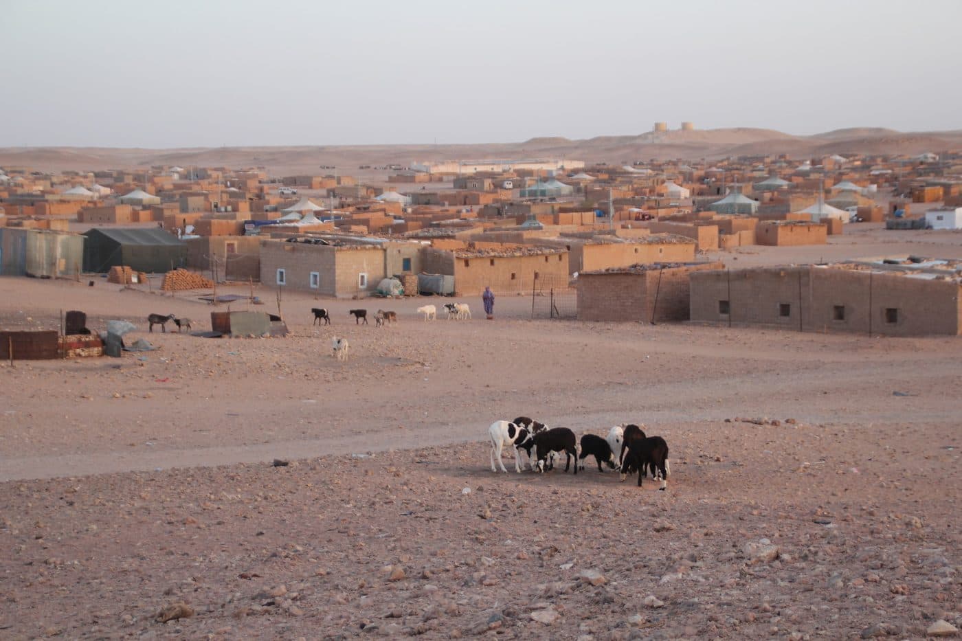 Dajla : cinéma et oubli — image 2