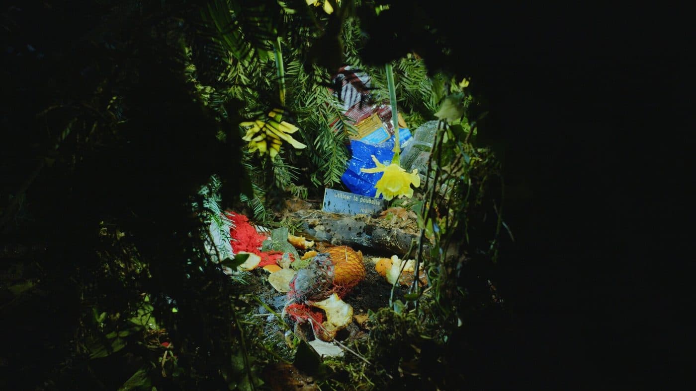 Nature Attack — image 2