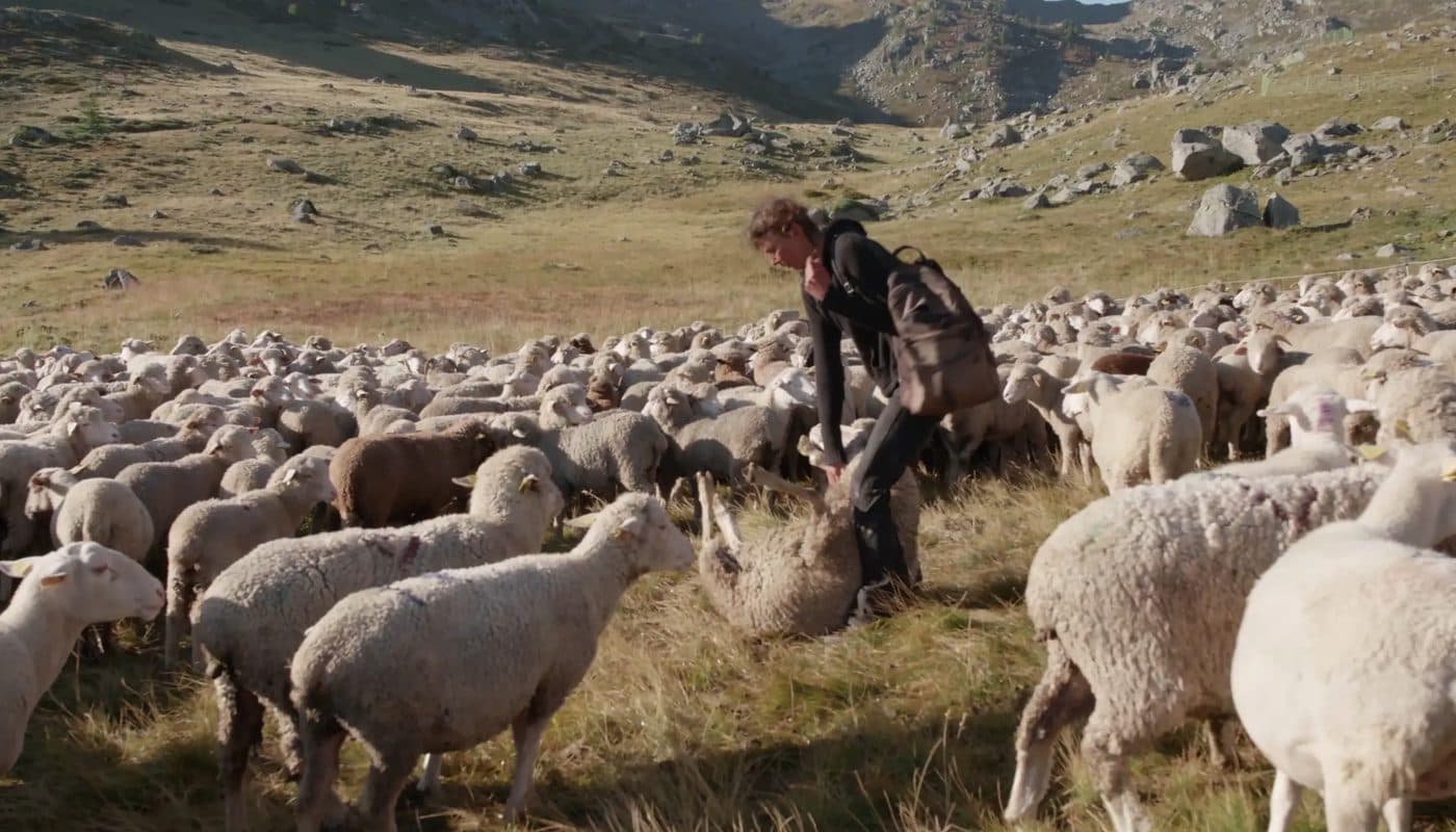 Parallèles — image du film