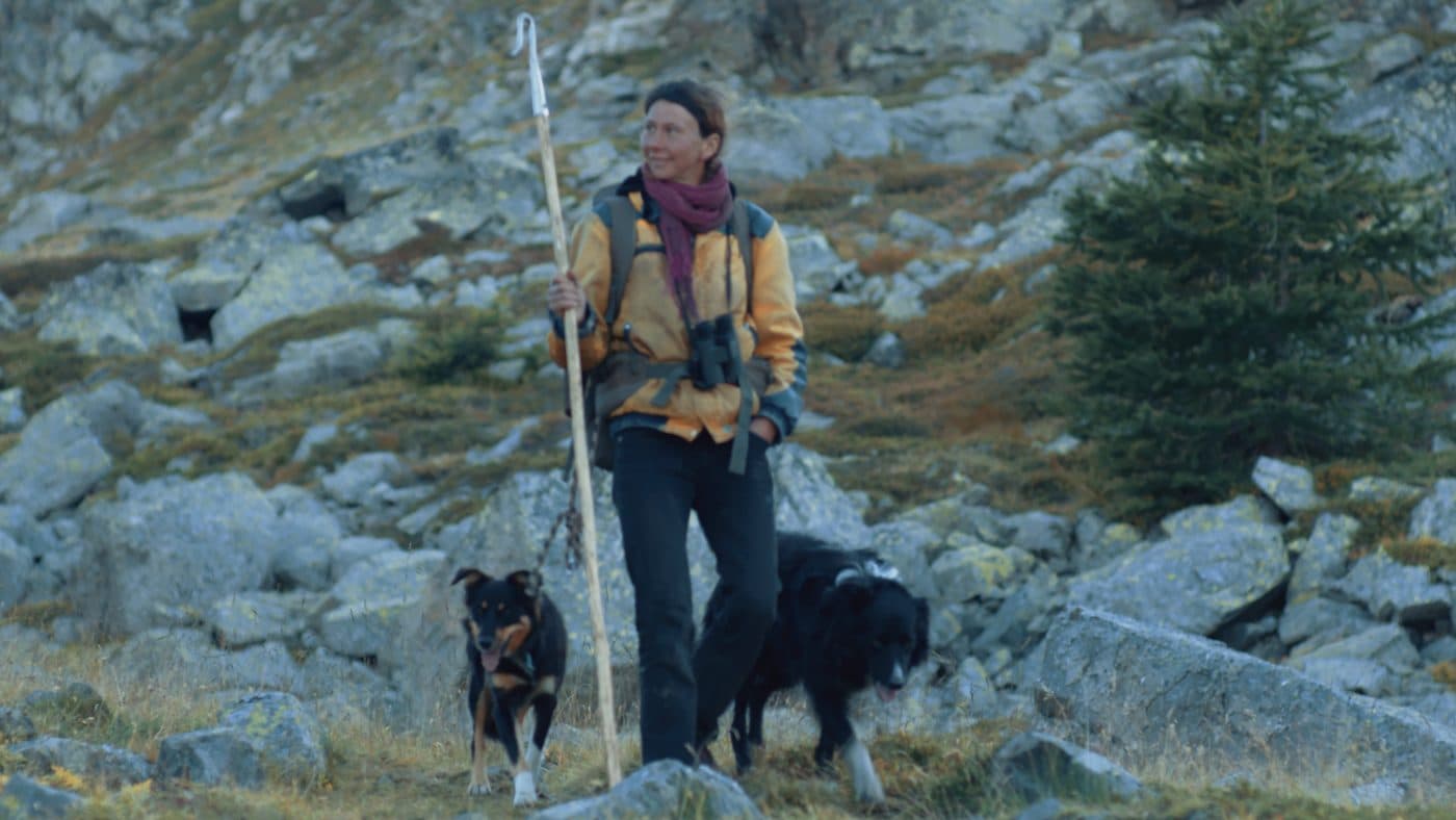 Parallèles — image 3