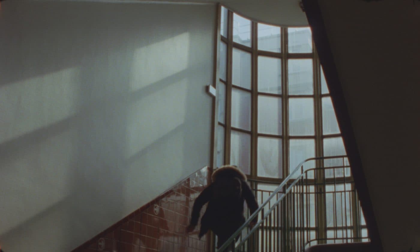 Un pays excellent — image 4