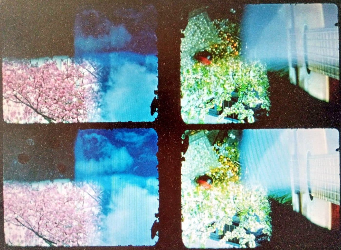 Art Student — image 2